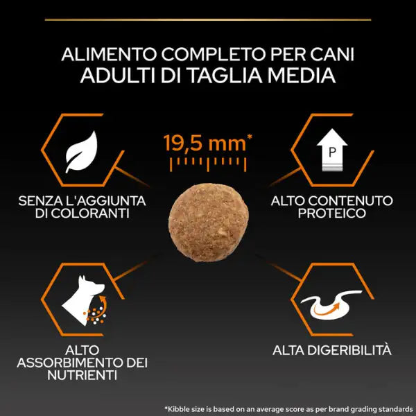 Purina Pro Plan Large Robust Adult Everyday Nutrition Crocchette per cani   bauzaarit.myshopify.com