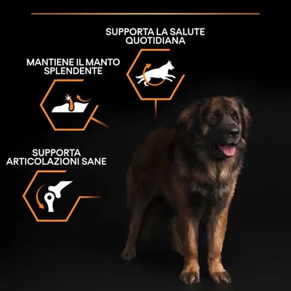 Purina Pro Plan Large Robust Adult Everyday Nutrition Crocchette per cani   bauzaarit.myshopify.com