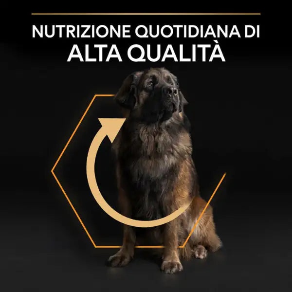 Purina Pro Plan Large Robust Adult Everyday Nutrition Crocchette per cani   bauzaarit.myshopify.com