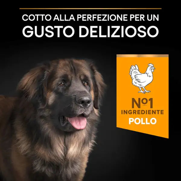 Purina Pro Plan Large Robust Adult Everyday Nutrition Crocchette per cani   bauzaarit.myshopify.com