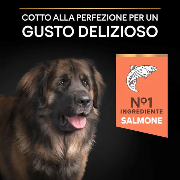 Purina Pro Plan Large Robust Adult Sensitive Skin Salmone   bauzaarit.myshopify.com