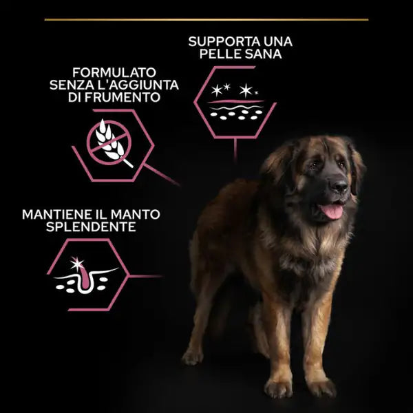 Purina Pro Plan Large Robust Adult Sensitive Skin Salmone   bauzaarit.myshopify.com