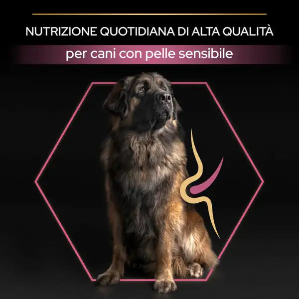 Purina Pro Plan Large Robust Adult Sensitive Skin Salmone   bauzaarit.myshopify.com
