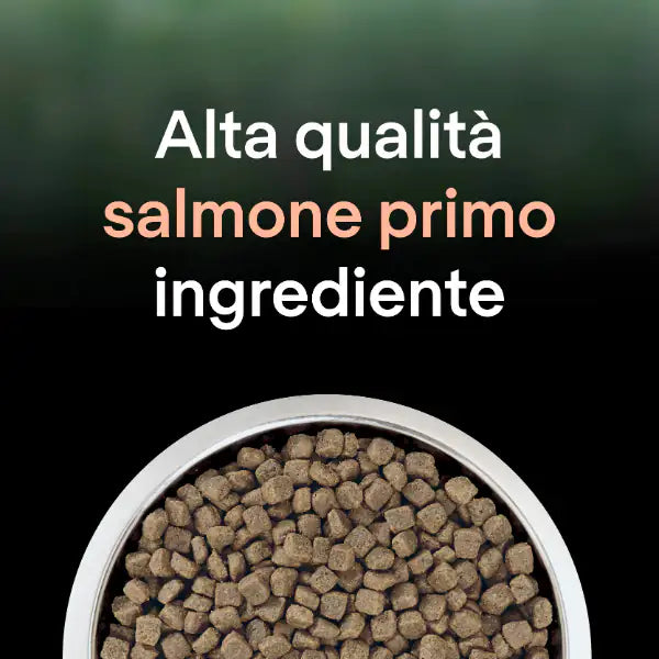 Purina Pro Plan LiveClear Adult Crocchette Gatto Sterilizzato con salmone   bauzaarit.myshopify.com