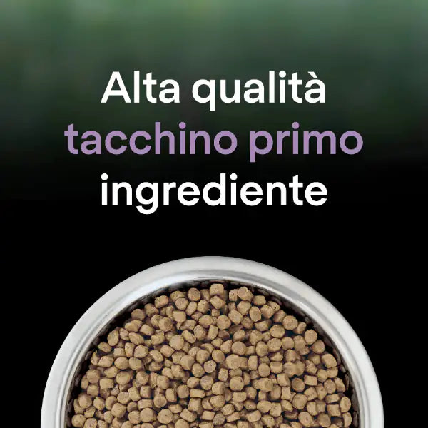 Purina Pro Plan LiveClear Kitten Crocchette Gatto con tacchino   bauzaarit.myshopify.com