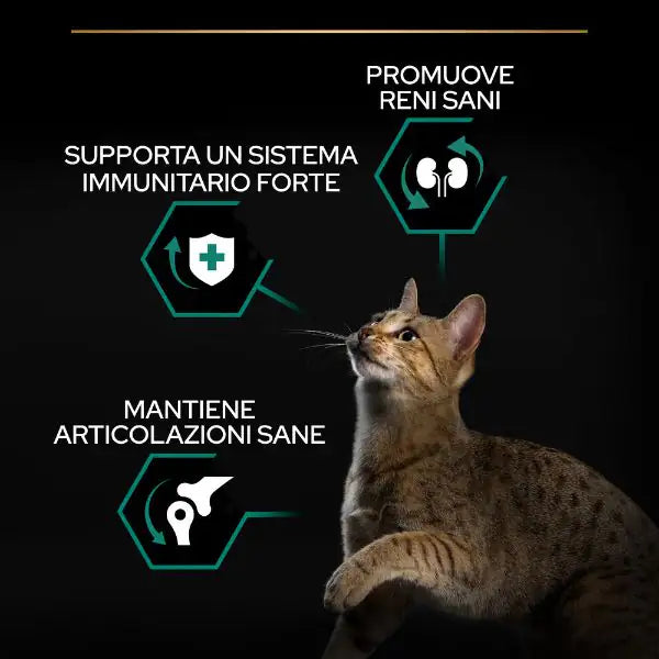 Purina Pro Plan Renal Plus Sterilised Adult 1+ con Coniglio   bauzaarit.myshopify.com