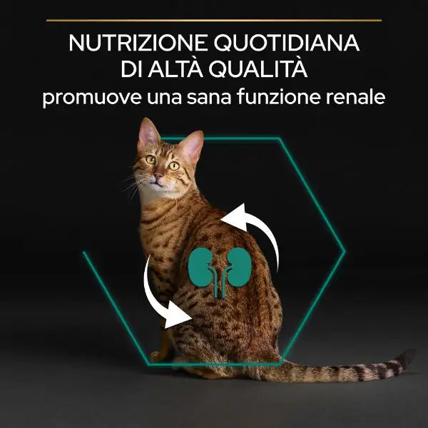 Purina Pro Plan Renal Plus Sterilised Adult 1+ con Coniglio   bauzaarit.myshopify.com