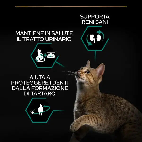 Purina Pro Plan Renal Plus Sterilised Adult 1+ con Salmone   bauzaarit.myshopify.com