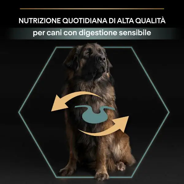 Purina Pro Plan Sensitive Digestion Large Robust Adult Crocchette Cane Agnello   bauzaarit.myshopify.com