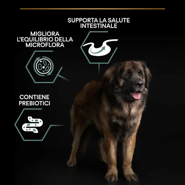 Purina Pro Plan Sensitive Digestion Large Robust Adult Crocchette Cane Agnello   bauzaarit.myshopify.com