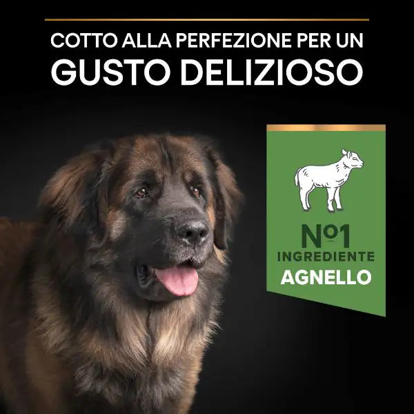 Purina Pro Plan Sensitive Digestion Large Robust Adult Crocchette Cane Agnello   bauzaarit.myshopify.com