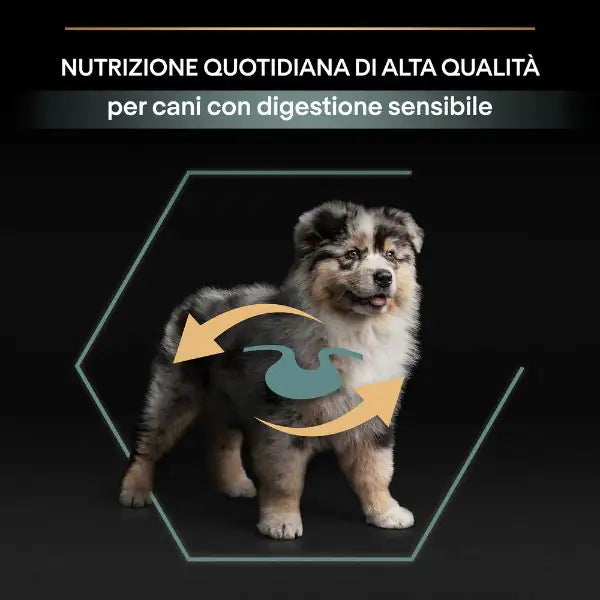 Purina Pro Plan Sensitive Digestion Medium Puppy Crocchette Cane Agnello   bauzaarit.myshopify.com