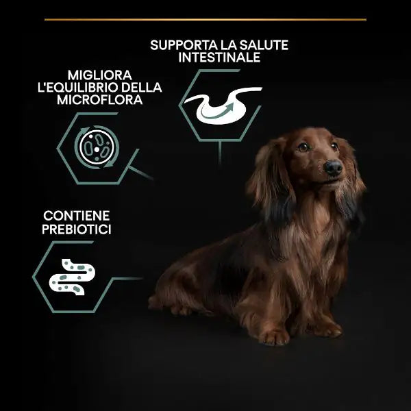 Purina Pro Plan Sensitive Digestion Small e Mini Adult Crocchette Cane Agnello   bauzaarit.myshopify.com