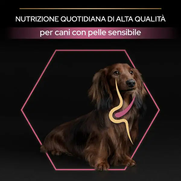 Purina Pro Plan Sensitive Skin Small & Mini Adult Crocchette Cane Salmone   bauzaarit.myshopify.com
