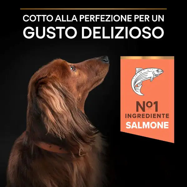 Purina Pro Plan Sensitive Skin Small & Mini Adult Crocchette Cane Salmone   bauzaarit.myshopify.com
