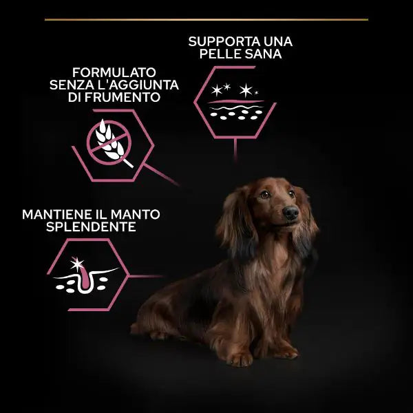 Purina Pro Plan Sensitive Skin Small & Mini Adult Crocchette Cane Salmone   bauzaarit.myshopify.com
