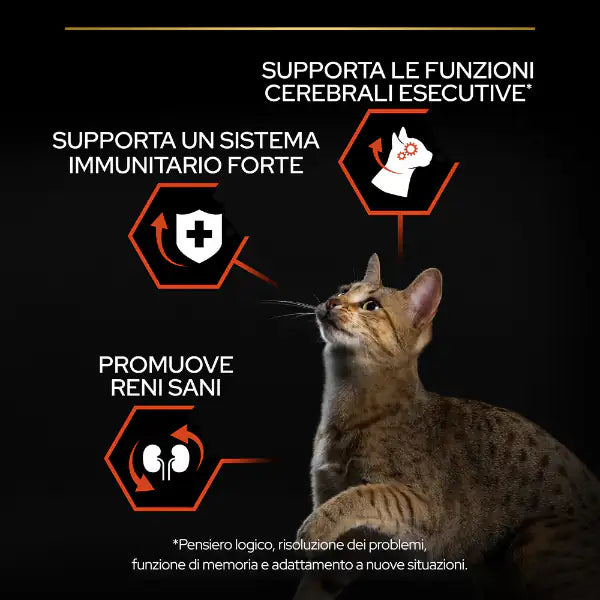 Purina Pro Plan Sterilised Adult Vital Functions Salmone   bauzaarit.myshopify.com