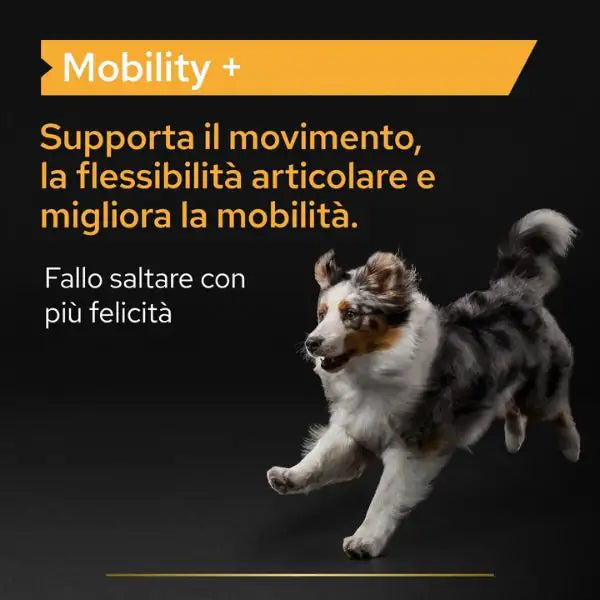 Purina Pro Plan Veterinary Diets Supplement Mobility Plus integratore per cani   bauzaarit.myshopify.com