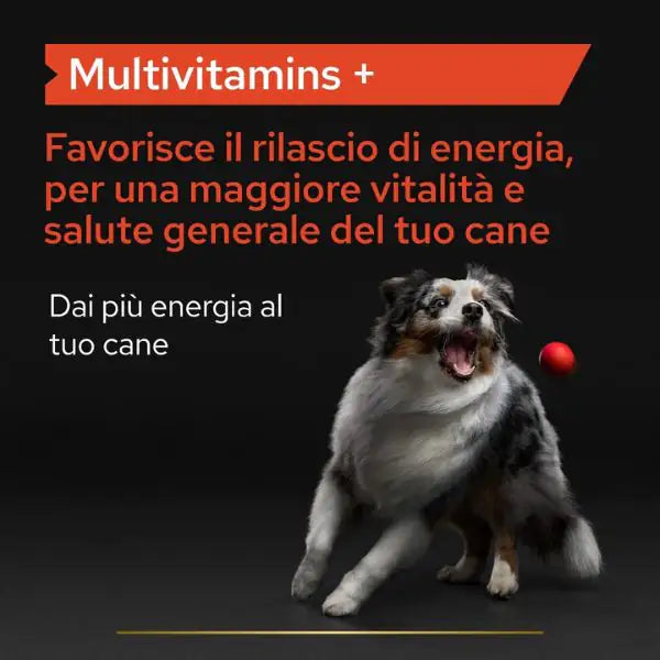Purina Pro Plan Veterinary Diets Supplement Multivitamins Plus integratore per cani   bauzaarit.myshopify.com