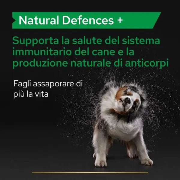Purina Pro Plan Veterinary Diets Supplement Natural Defences Plus integratore per cani   bauzaarit.myshopify.com