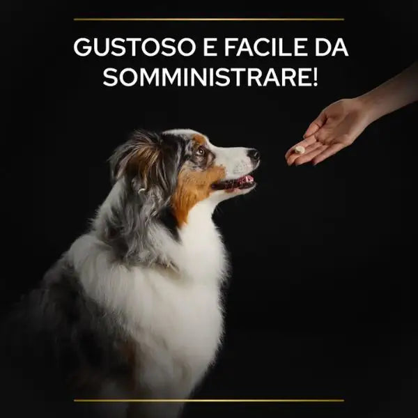 Purina Pro Plan Veterinary Diets Supplement Natural Defences Plus integratore per cani   bauzaarit.myshopify.com
