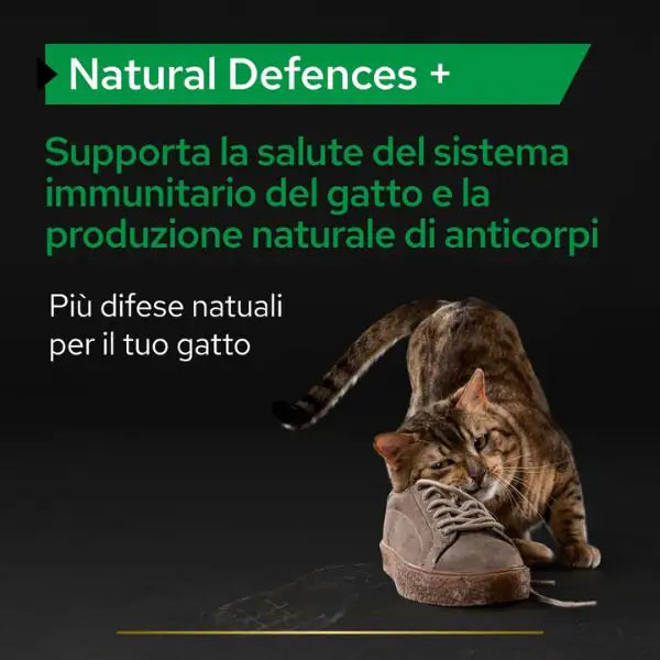 Purina Pro Plan Veterinary Diets Supplement Natural Defences Plus integratore per gatti   bauzaarit.myshopify.com