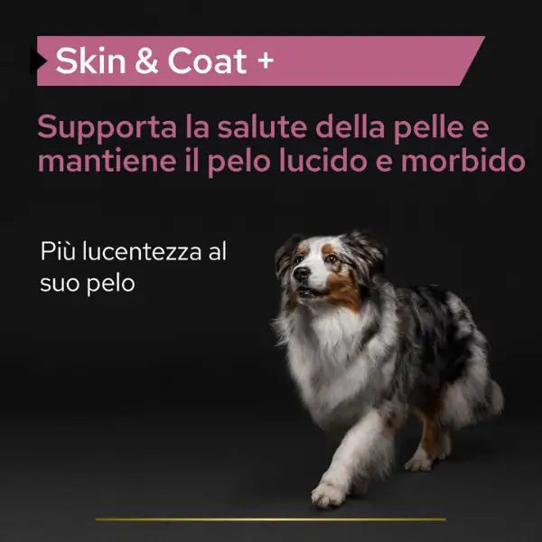 Purina Pro Plan Veterinary Diets Supplement Skin and Coat Plus integratore per cani   bauzaarit.myshopify.com