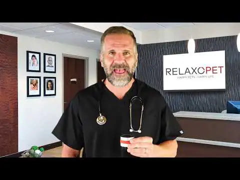RelaxoPet Pro Cane   bauzaarit.myshopify.com