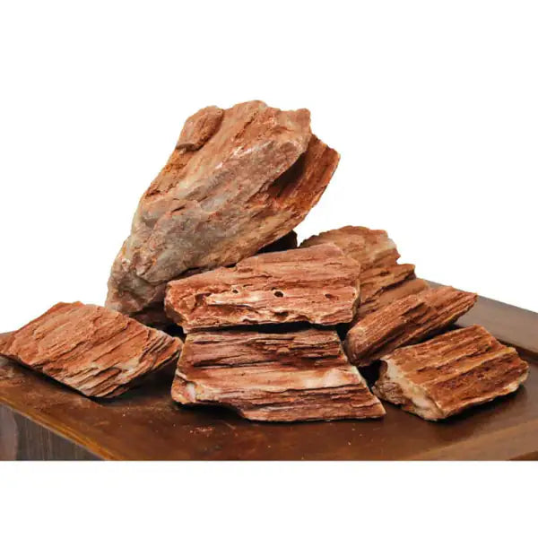 Roccia decorativa per acquario Amtra  Legno fossile 10-20 cm bauzaarit.myshopify.com