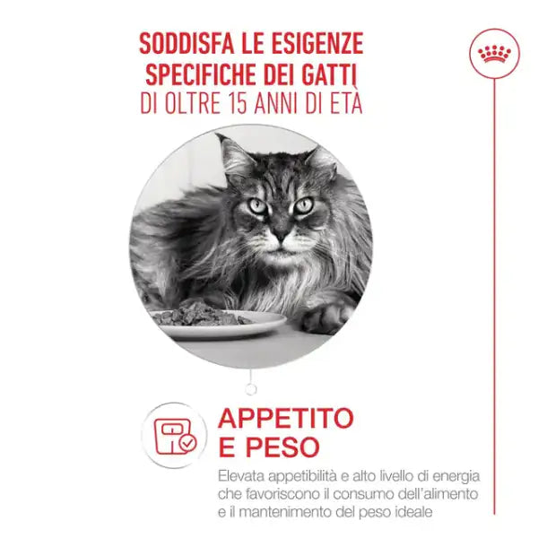 Royal Canin Ageing +12   bauzaarit.myshopify.com