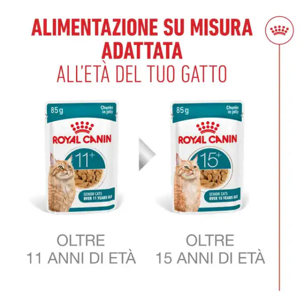 Royal Canin Ageing +12 in Salsa   bauzaarit.myshopify.com