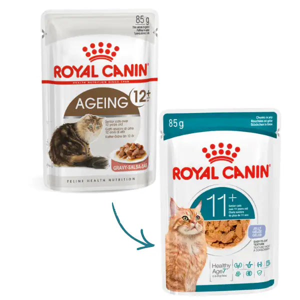 Royal Canin Ageing +12 in Salsa   bauzaarit.myshopify.com