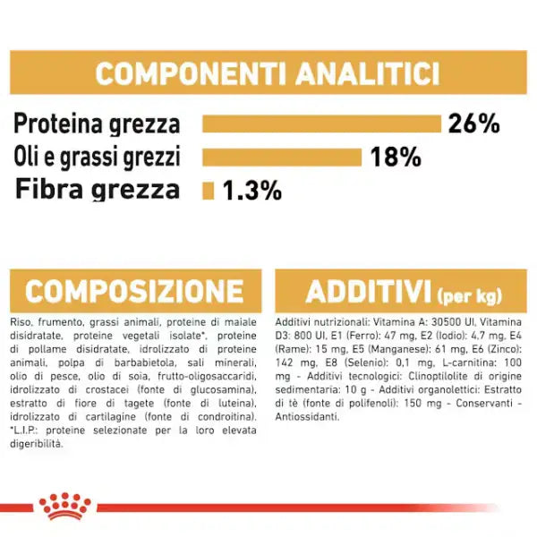 Royal Canin Bulldog Francese Adult   bauzaarit.myshopify.com