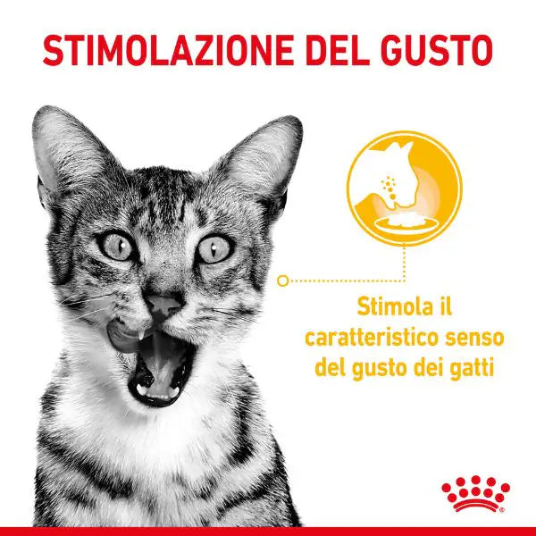 Royal Canin Cat Sensory Taste 85 gr   bauzaarit.myshopify.com