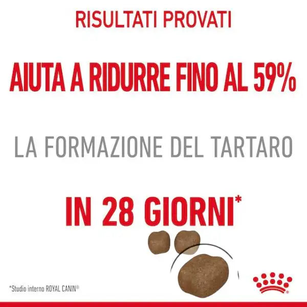 Royal Canin Dental Care Feline   bauzaarit.myshopify.com
