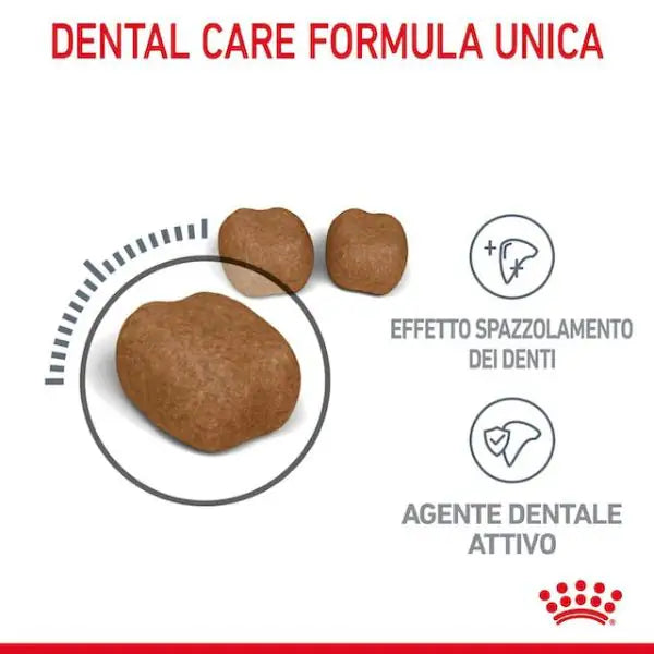 Royal Canin Dental Care Feline   bauzaarit.myshopify.com