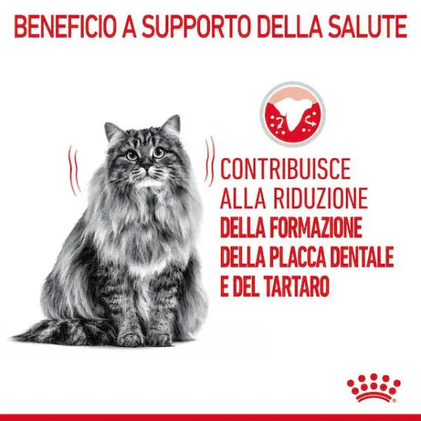 Royal Canin Dental Care Feline   bauzaarit.myshopify.com