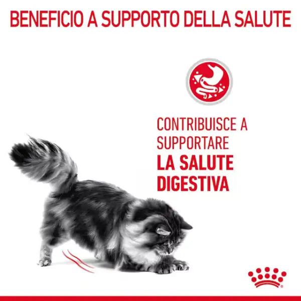 Royal Canin Digestive Care Cat Adult   bauzaarit.myshopify.com