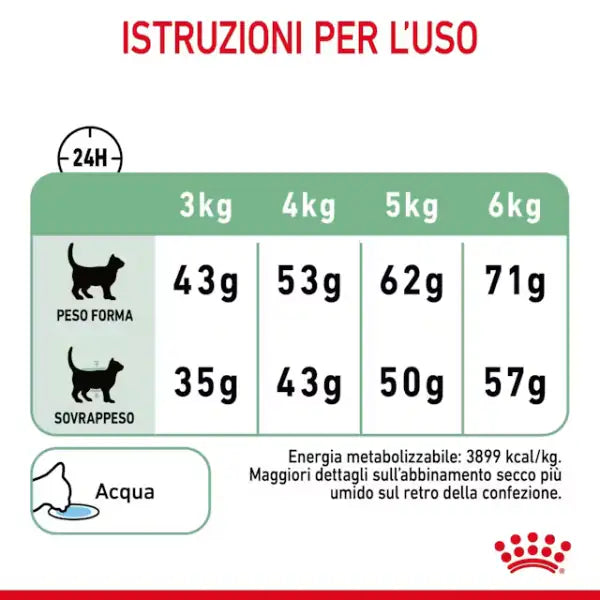 Royal Canin Digestive Care Cat Adult   bauzaarit.myshopify.com