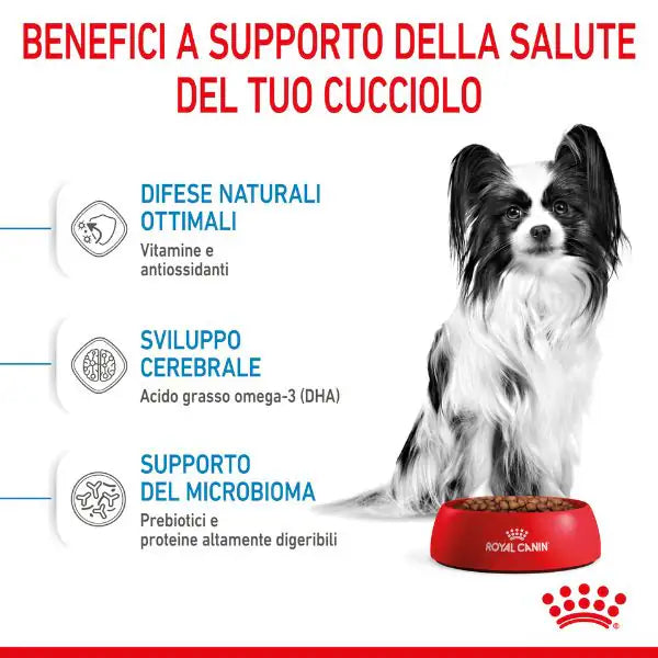 Royal Canin Extra-Small Puppy   bauzaarit.myshopify.com