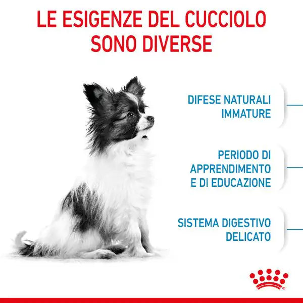 Royal Canin Extra-Small Puppy   bauzaarit.myshopify.com