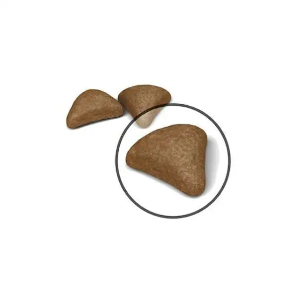 Royal Canin Feline Hairball Care   bauzaarit.myshopify.com