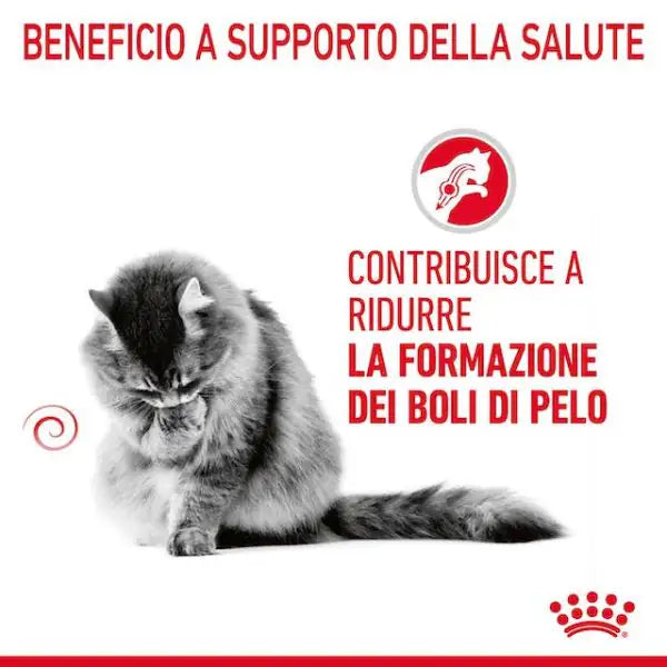 Royal Canin Feline Hairball Care   bauzaarit.myshopify.com