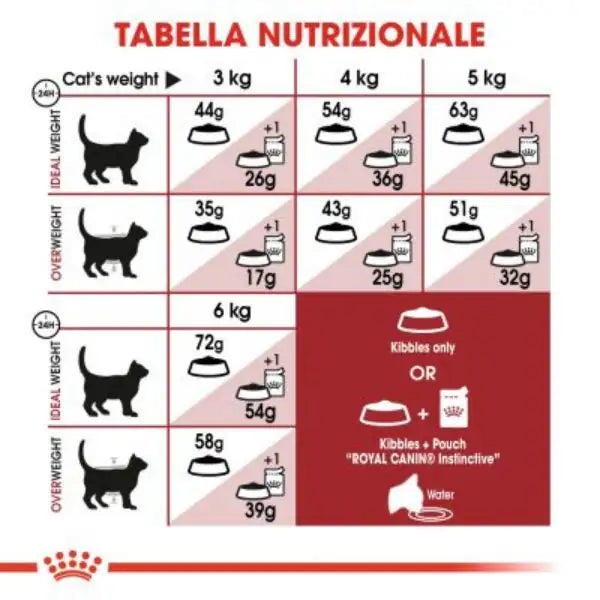 Royal Canin Fit 32 Adult Cat   bauzaarit.myshopify.com
