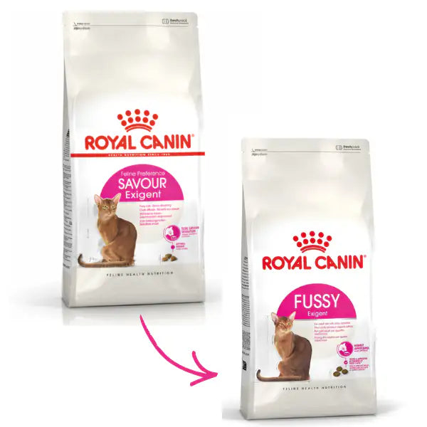 Royal Canin Fussy Exigent Adult Feline Health Nutrition   bauzaarit.myshopify.com