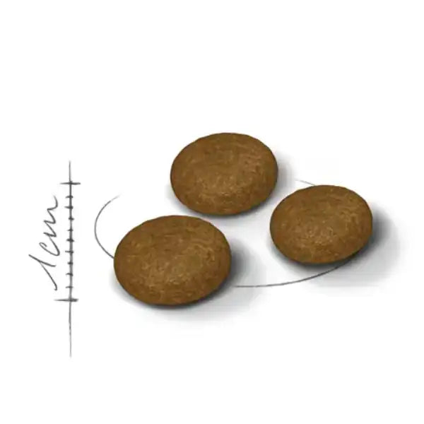 Royal Canin Fussy Exigent Adult Feline Health Nutrition   bauzaarit.myshopify.com