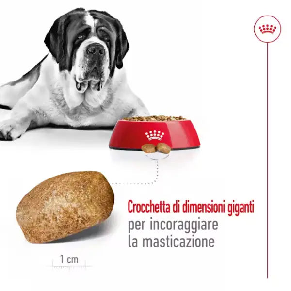 Royal Canin Giant Adult   bauzaarit.myshopify.com