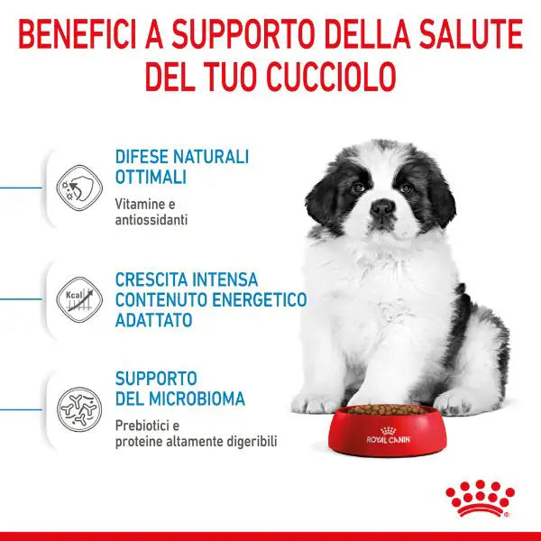 Royal Canin Giant Puppy   bauzaarit.myshopify.com