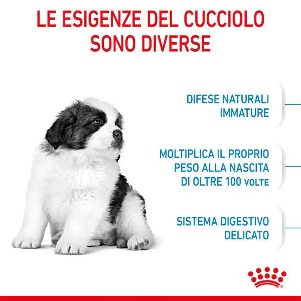 Royal Canin Giant Puppy   bauzaarit.myshopify.com