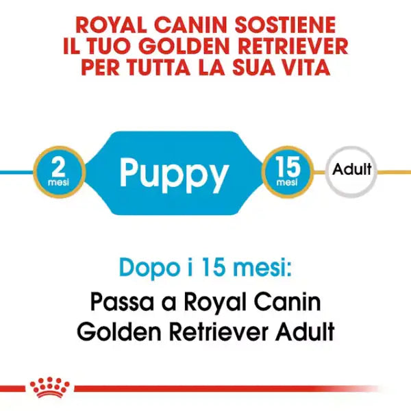 Royal Canin Golden Retriever Puppy   bauzaarit.myshopify.com